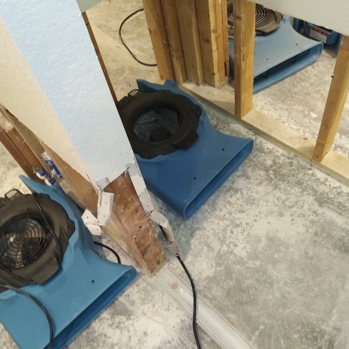 Carpet and Drywall Removal