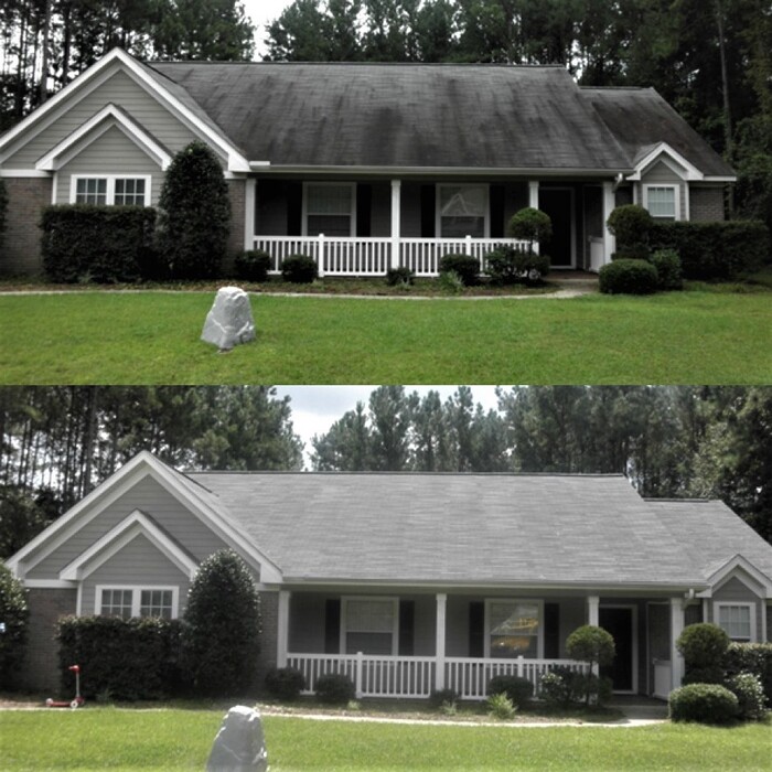 Black Algae Removal