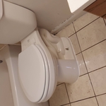 Toilet Flange Repair