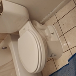Toilet Flange Repair
