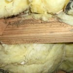 several different project
