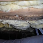 several different project