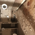mold project