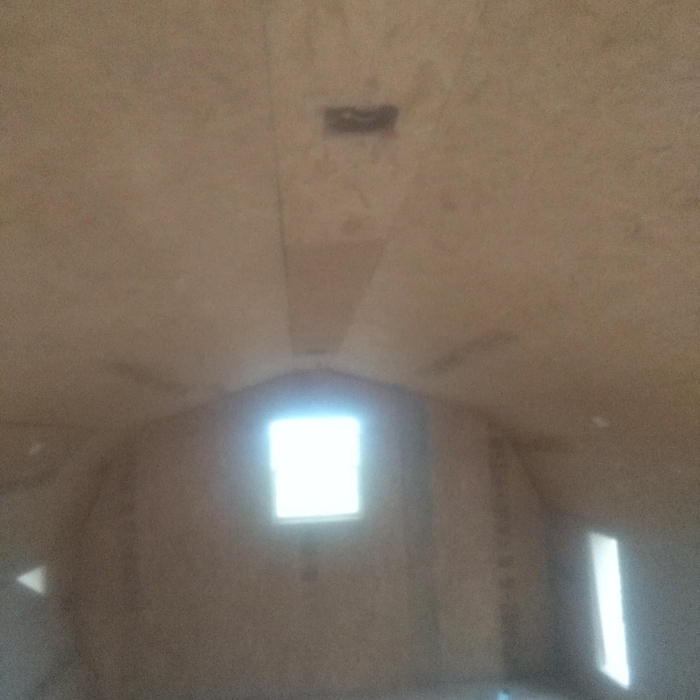 Dog Kennel Interior
