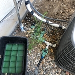 Before and After Pictures
