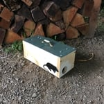 Indoor Trap Box