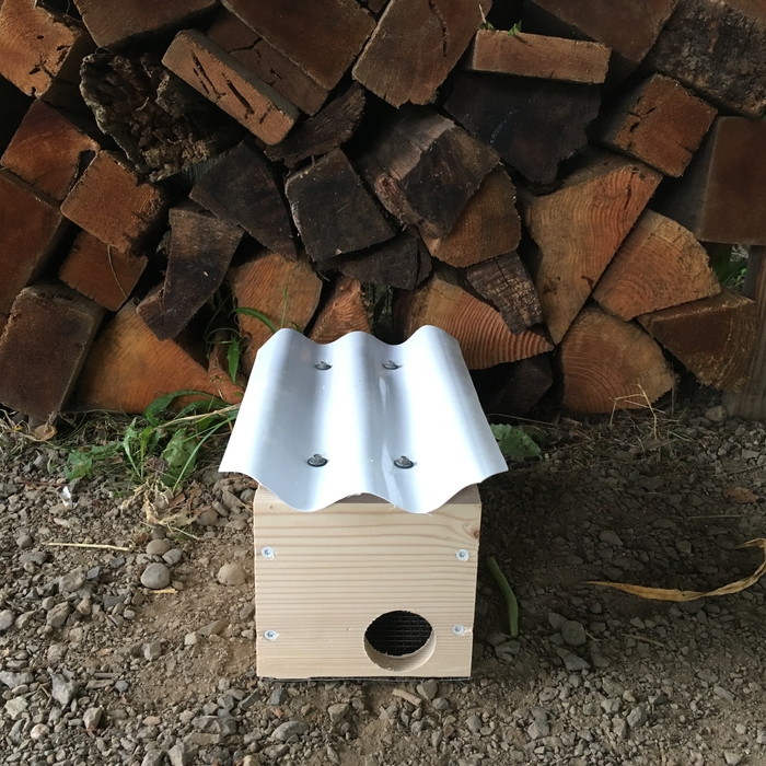 Exterior Trap Box