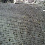 Shingle Roof Replacement