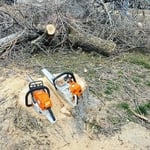 KTM Tree project photos