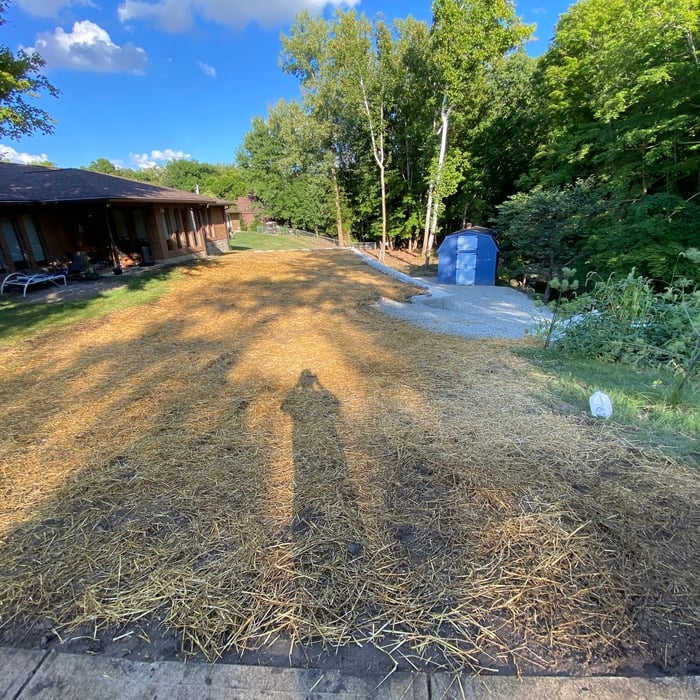 seeded and strawed