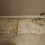 Before