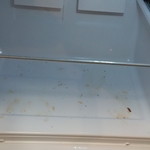 Before Freezer Bottom