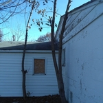 Tree removal for fas national bank