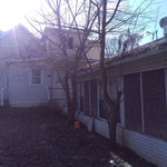 Tree removal for fas national bank