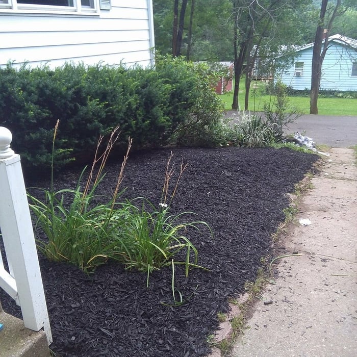 Mulch job for fas national Bank