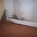 Basement Water Proofing