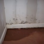 Basement Water Proofing