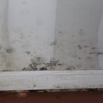 Basement Water Proofing