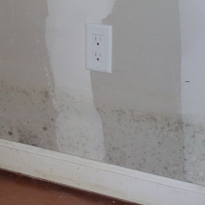 Basement Water Proofing