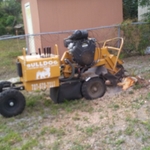 stump grinding