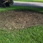 removed stump mound