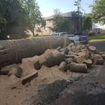 Large tree removal project