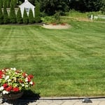 Lawn Maintenance