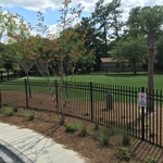 Play field