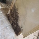 Mold caused by Water Damage
