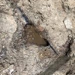 Broken footing drain pipe