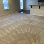 Carpet Cleaning
