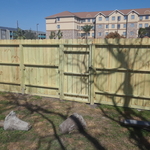 New Fence
