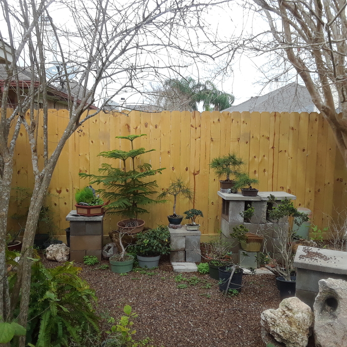 New Fencing