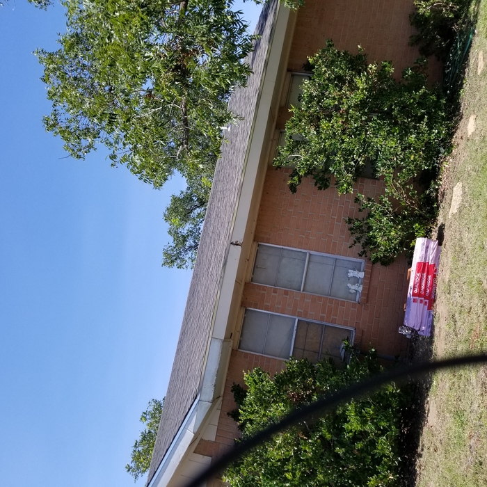 New shingles's
