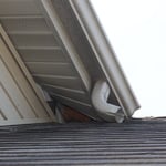 Raccoon Entry point