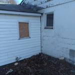 Tree removal for fas national bank