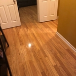 OUR WORK