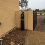 Saltless System for Horses