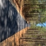 Tyler driveway