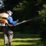 Mosquito Control