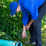 Skunk Trap