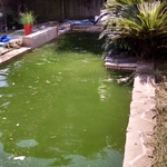 Draining pool