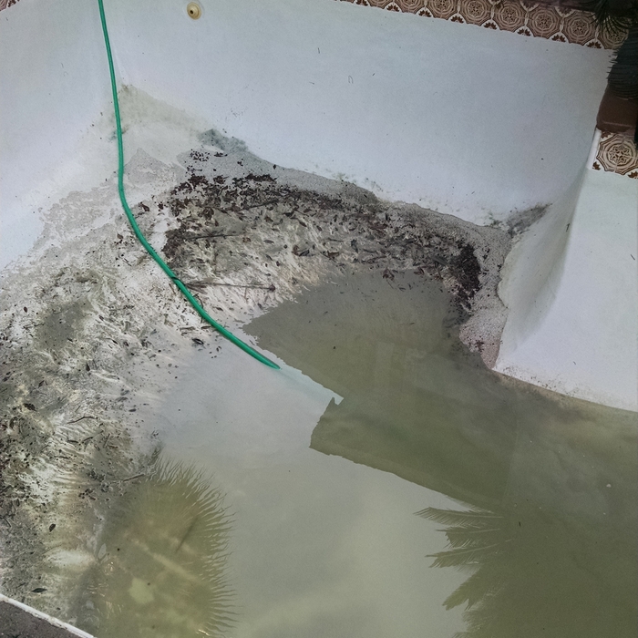 After draining