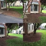 After Clearing Existing Shrubs