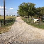 Custom square tubing gate with entrance.