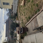 improve landscaping in back yard