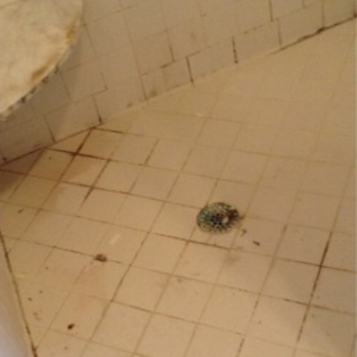 Tiled Shower Area