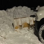 snow