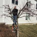 pruning