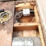 Water Damage To Delight